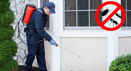 Büyükorhan Böcek ve Haşere İlaçlama böcek ilaçlama ve haşere kontrolü — ilaclama-tr.com